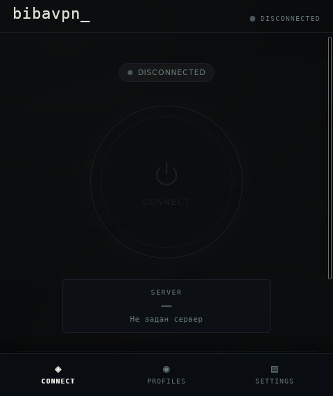 Screenshot of BibaVPN