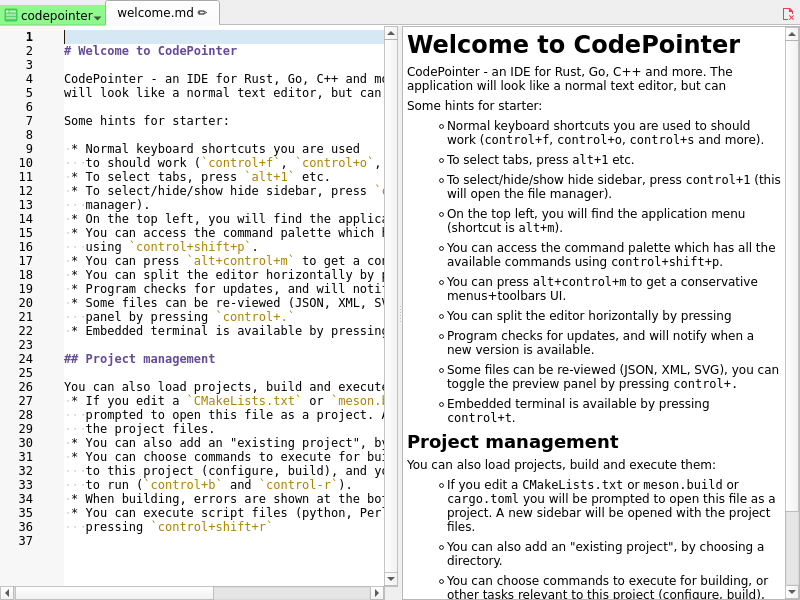 Screenshot of CodePointer
