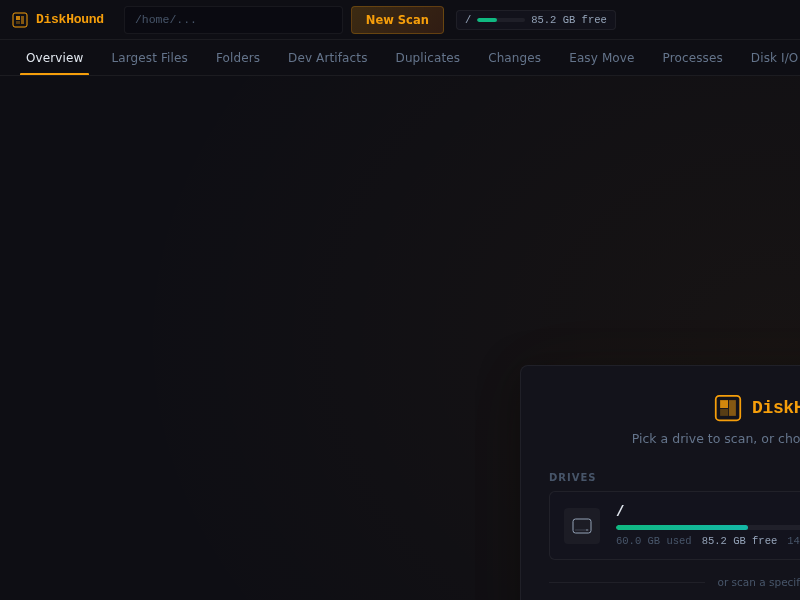 Screenshot of DiskHound
