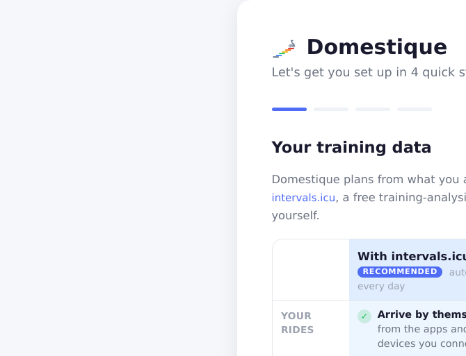 Screenshot of Domestique