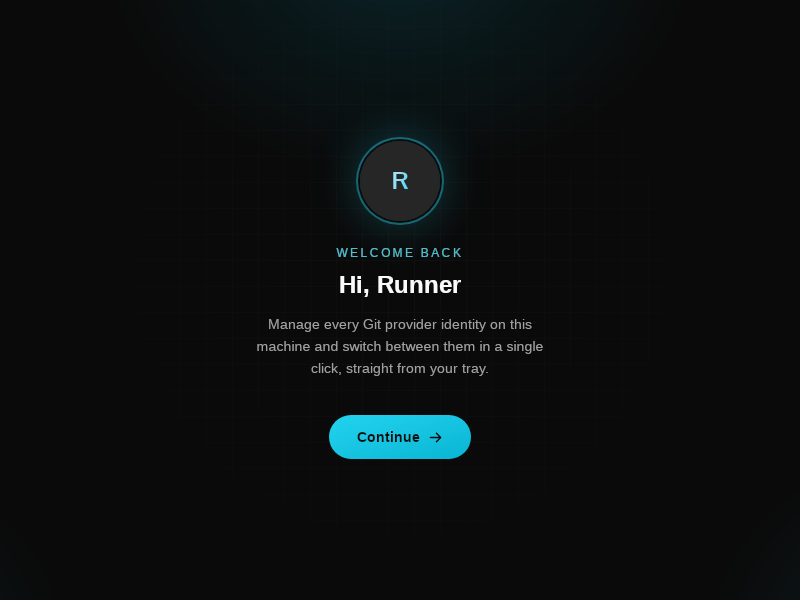 Screenshot of GitSwitch