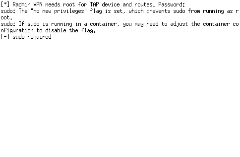 Screenshot of Radmin_VPN
