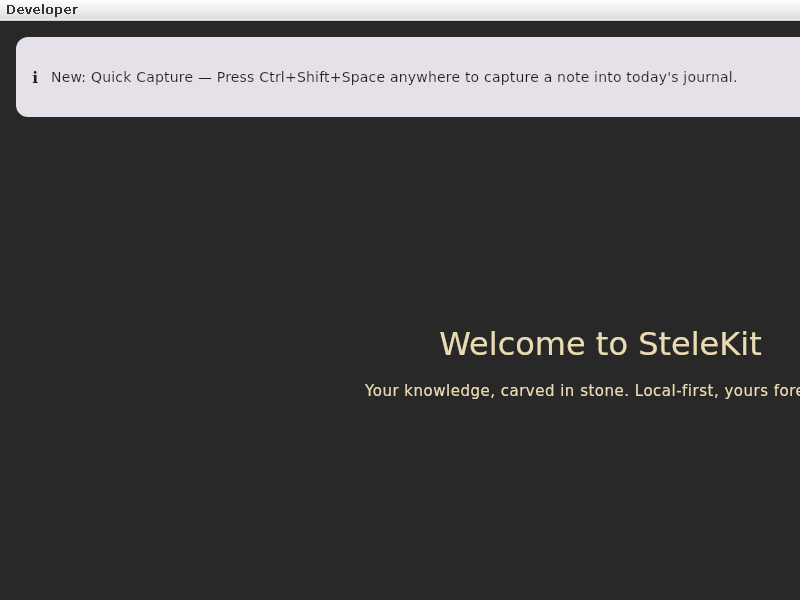 Screenshot of SteleKit