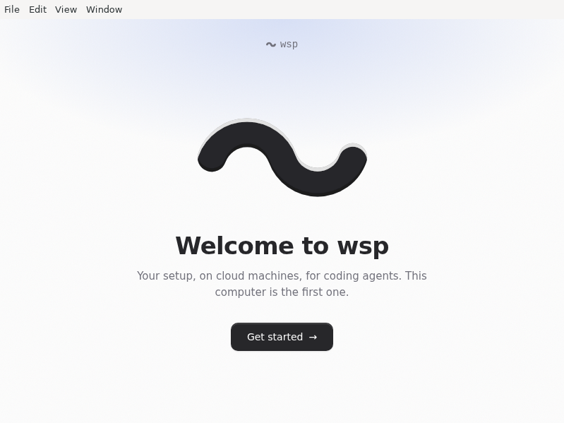 Screenshot of wsp